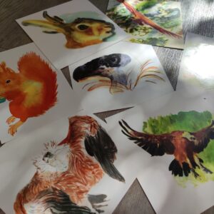 cartes postales animaux des cévennes