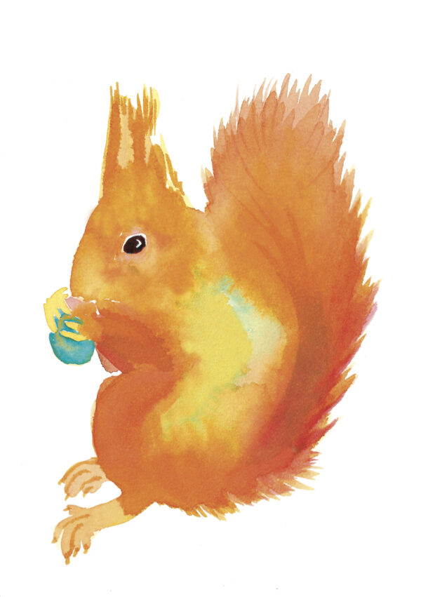 cartes postales - animaux sauvages des cévennes - l'écureuil – Image 2