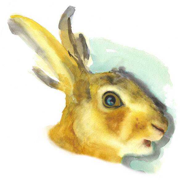 Lièvre – Image 2